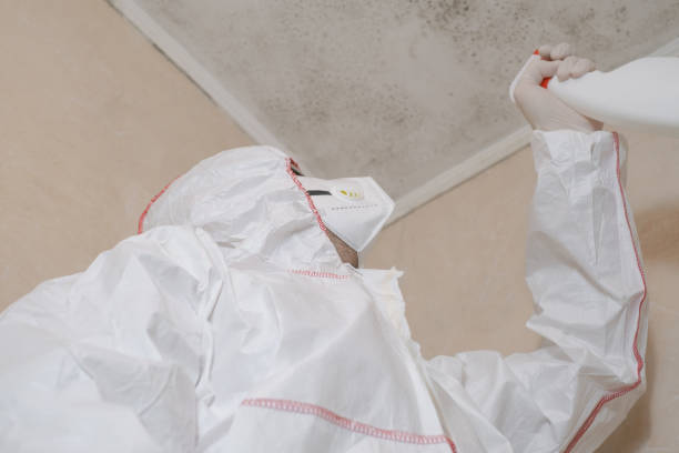 Trusted Brambleton, VA Mold Remediation Experts